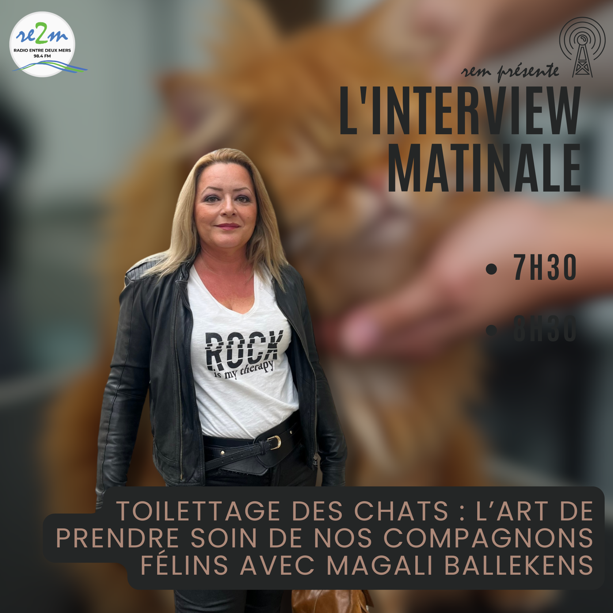 Toilettage des Chats : L’Art de Prendre Soin de nos Compagnons Félins avec Magali Ballekens