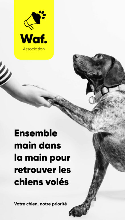 Association WAF