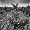 Sécheresse en Gironde : Quelles restrictions d’eau en Sud-Gironde et Entre-deux-Mers ?