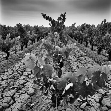 Sécheresse en Gironde Quelles restrictions d'eau en Sud-Gironde et Entre-deux-Mers