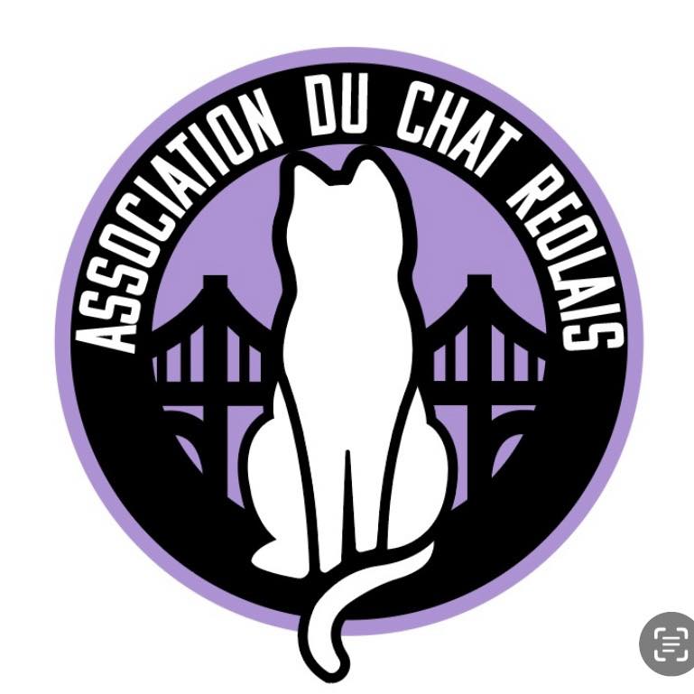 Le Chat Réolais : 1 an d'action pour la protection féline à La Réole